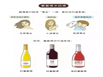 跟着漫畫學習葡萄酒小知(zhī)識~